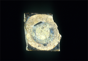 Image of Fragment of Painted Tile