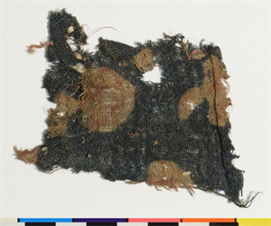 Image of Fragment