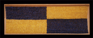 Image of Blue And Yellow Panel